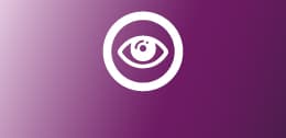 Vision icon